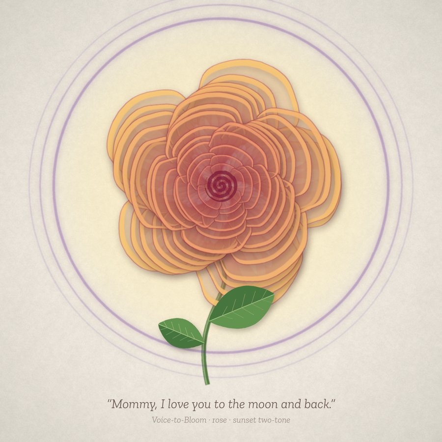 Sunset rose bloom