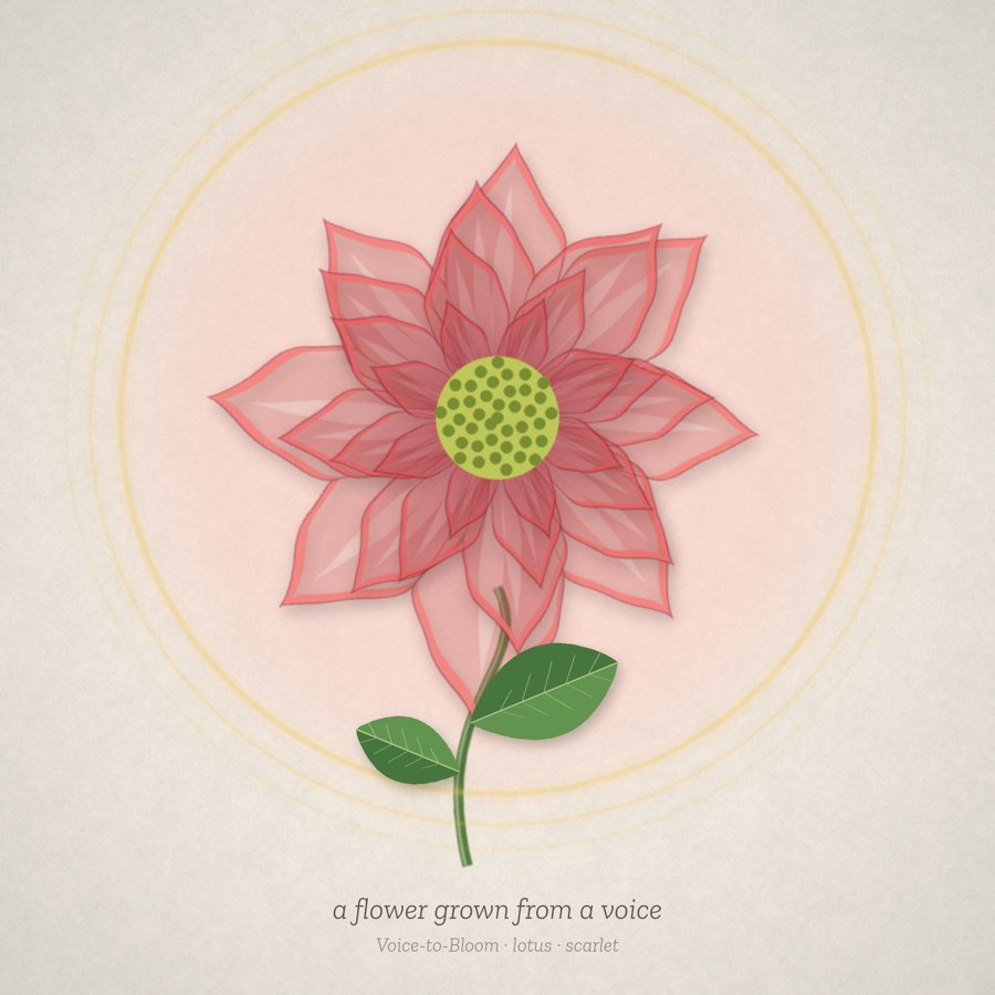 Scarlet lotus bloom